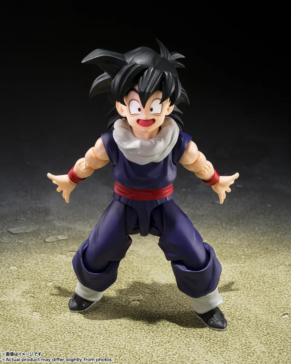 Figurine Dragon Ball Z Son Gohan Limited Edition Group Base A S.H.Figuarts shf
