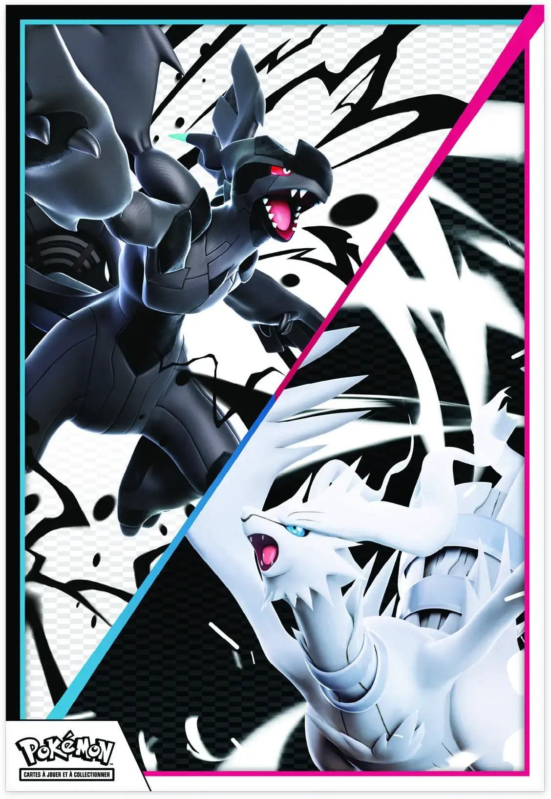 Détail poster de la Collection poster Écarlate et Violet 10.5