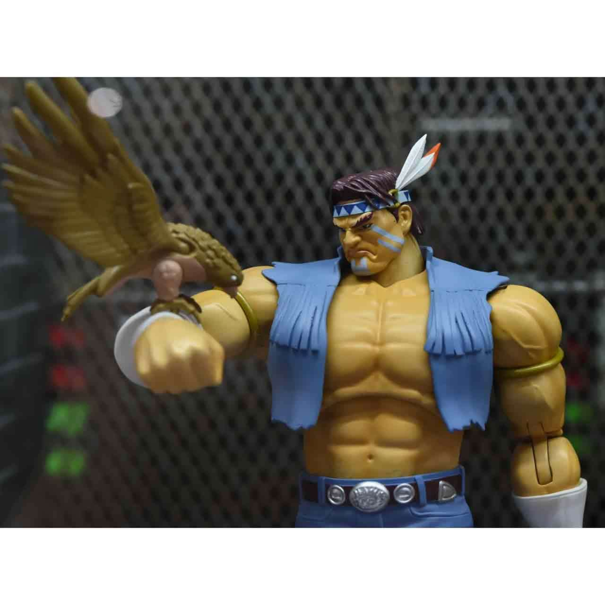 Packaging figurine Hawk Street Fighter 2 Jada Toys - boîte collector